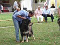 img 021